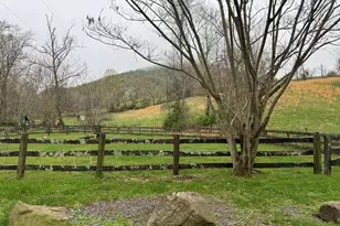 20 Victory Lane, Castleton, VA 22716 - Photo 41