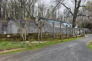 20 Victory Lane, Castleton, VA 22716 - Photo 43