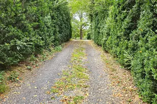 7 Skyline Ln, Washington, VA 22747 - Photo 3