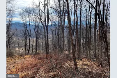 0 Harris Hollow Road, Washington, VA 22747 - Photo 7