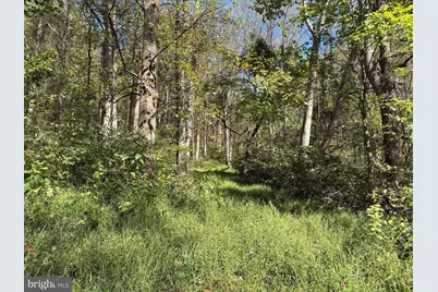 0 Harris Hollow Road, Washington, VA 22747 - Photo 5