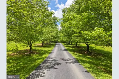 156 Bear Wallow Road, Huntly, VA 22640 - Photo 13