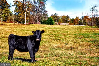 290 Riley Hollow Road, Huntly, VA 22640 - Photo 147