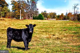 290 Riley Hollow Rd, Huntly, VA 22640 - Photo 147