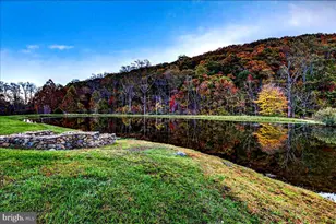 290 Riley Hollow Rd, Huntly, VA 22640 - Photo 19