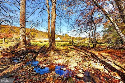 290 Riley Hollow Road, Huntly, VA 22640 - Photo 141