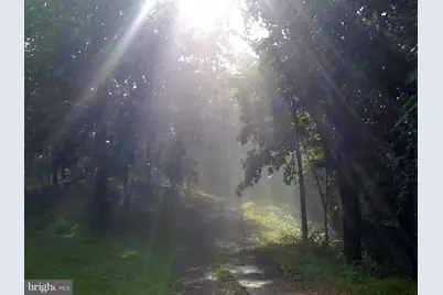 200 Fogg Mountain Lane, Flint Hill, VA 22627 - Photo 41