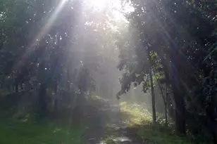 200 Fogg Mountain Ln, Flint Hill, VA 22627 - Photo 41