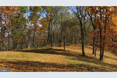 200 Fogg Mountain Lane, Flint Hill, VA 22627 - Photo 45