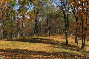 200 Fogg Mountain Ln, Flint Hill, VA 22627 - Photo 45