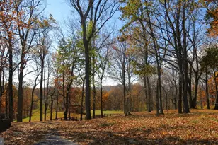 200 Fogg Mountain Ln, Flint Hill, VA 22627 - Photo 9