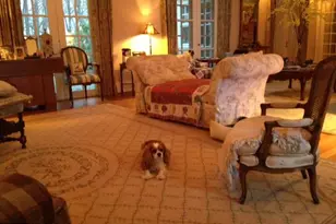 200 Fogg Mountain Ln, Flint Hill, VA 22627 - Photo 15