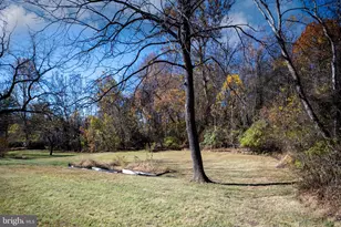 560 Richmond Rd, Amissville, VA 20106 - Photo 123