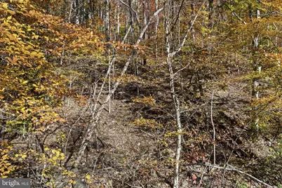 0 Gid Brown Hollow, Washington, VA 22747 - Photo 15