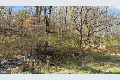 0 Gid Brown Hollow, Washington, VA 22747 - Photo 33