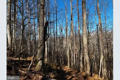 436 Hinsons Ford Road, Amissville, VA 20106 - Photo 19