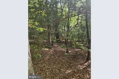 Lot 3 Wallace Street, Warsaw, VA 22572 - Photo 7