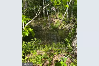Lot 3 Wallace Street, Warsaw, VA 22572 - Photo 1