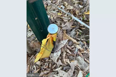 Lot 3 Wallace Street, Warsaw, VA 22572 - Photo 21