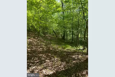 Lot 1 Wallace Street, Warsaw, VA 22572 - Photo 1