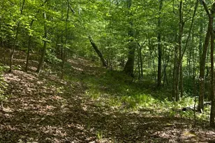 Lot 1 Wallace St, Warsaw, VA 22572 - Photo 1