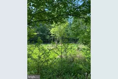 Lot 2 Wallace Street, Warsaw, VA 22572 - Photo 7