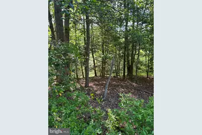 Lot 2 Wallace Street, Warsaw, VA 22572 - Photo 11