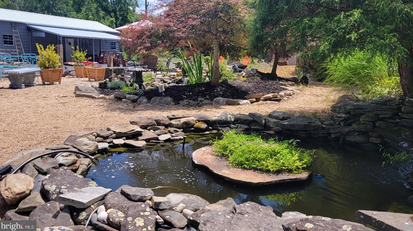 3110 Orkney Grade, Mount Jackson VA  22842-3320 exterior