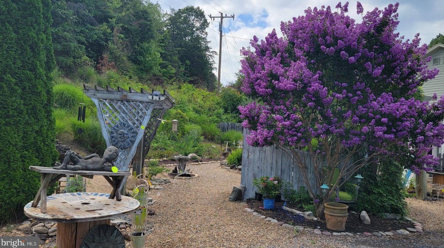 3110 Orkney Grade, Mount Jackson VA  22842-3320 exterior