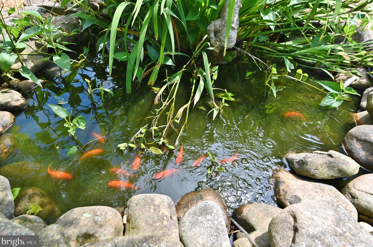 3110 Orkney Grade, Mount Jackson VA  22842-3320 exterior