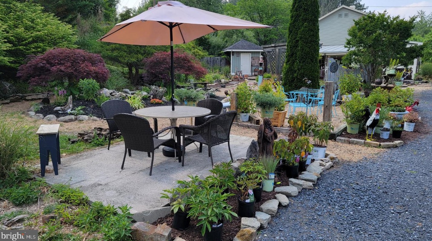 3110 Orkney Grade, Mount Jackson VA  22842-3320 exterior