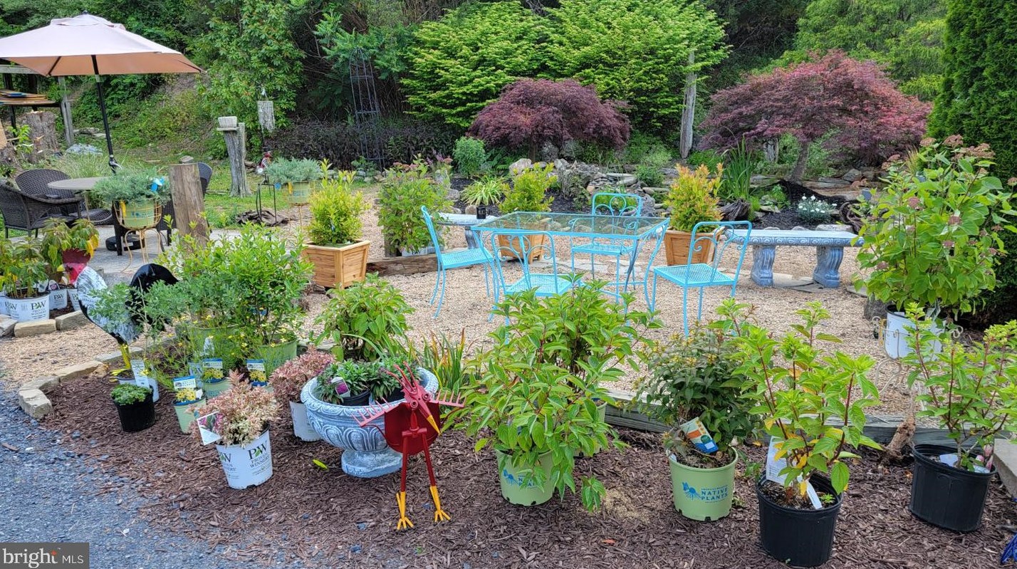 3110 Orkney Grade, Mount Jackson VA  22842-3320 exterior