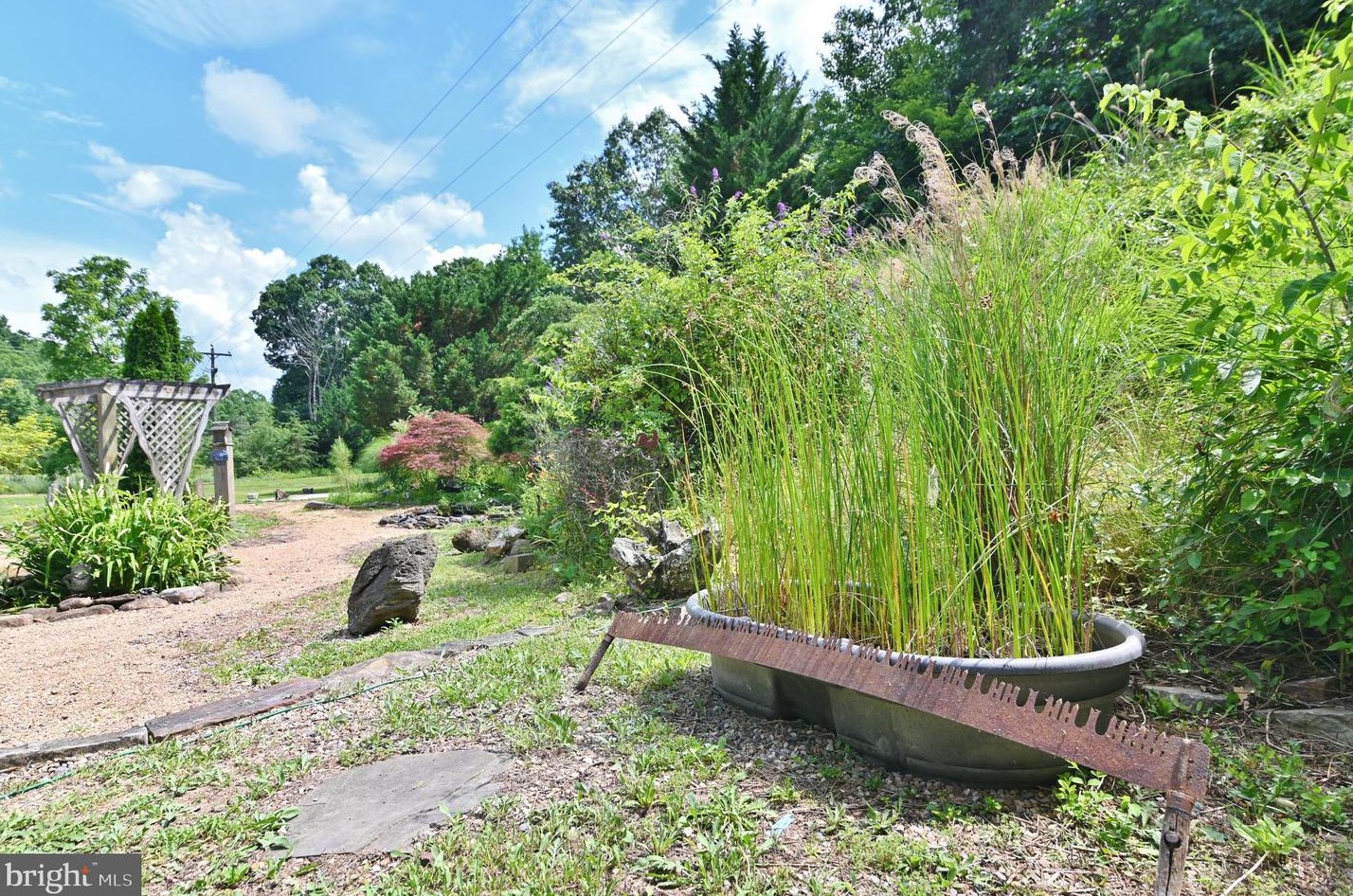 3110 Orkney Grade, Mount Jackson VA  22842-3320 exterior