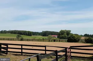 1615 Pleasant View Rd, Mount Jackson, VA 22842 - Photo 11