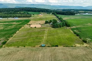 1615 Pleasant View Rd, Mount Jackson, VA 22842 - Photo 117