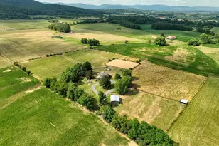 1615 Pleasant View Rd, Mount Jackson, VA 22842 - Photo 109