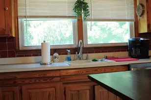 1615 Pleasant View Rd, Mount Jackson, VA 22842 - Photo 33