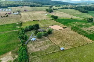 1615 Pleasant View Rd, Mount Jackson, VA 22842 - Photo 113