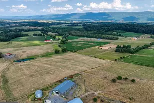 1615 Pleasant View Rd, Mount Jackson, VA 22842 - Photo 119