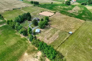 1615 Pleasant View Rd, Mount Jackson, VA 22842 - Photo 131