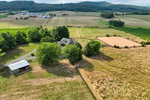 1615 Pleasant View Rd, Mount Jackson, VA 22842 - Photo 129