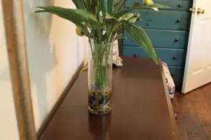 1615 Pleasant View Rd, Mount Jackson, VA 22842 - Photo 53