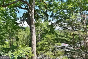 1034 Greenview, Basye, VA 22810 - Photo 49