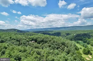 1034 Greenview, Basye, VA 22810 - Photo 71