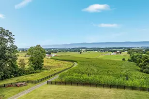 254 Carte Ln, Mount Jackson, VA 22842 - Photo 73