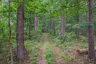 254 Carte Ln, Mount Jackson, VA 22842 - Photo 49