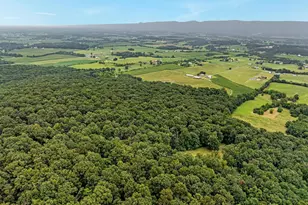 254 Carte Ln, Mount Jackson, VA 22842 - Photo 67