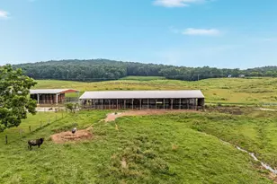 254 Carte Ln, Mount Jackson, VA 22842 - Photo 61