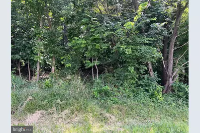 Beacon/Sunset, Strasburg, VA 22657 - Photo 3