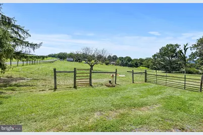 1275 Georgetown Road, Mount Jackson, VA 22842 - Photo 15